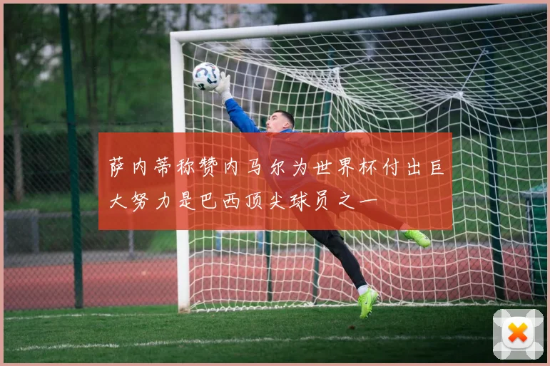萨内蒂称赞内马尔为世界杯付出巨大努力是巴西顶尖球员之一
