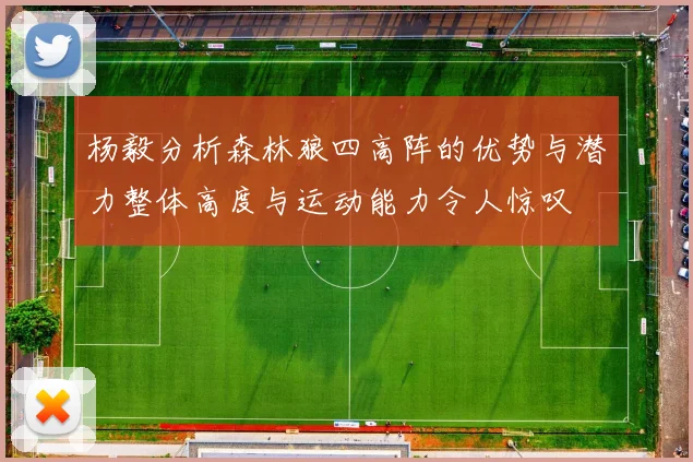 杨毅分析森林狼四高阵的优势与潜力整体高度与运动能力令人惊叹