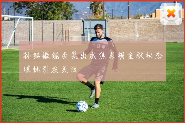 孙铭徽能否复出成焦点胡金秋状态堪忧引发关注