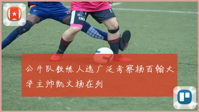 公牛队教练人选广泛考察杨百翰大学主帅凯文杨在列
