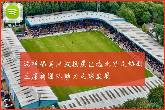 沈祥福高洪波杨晨当选北京足协副主席新团队助力足球发展